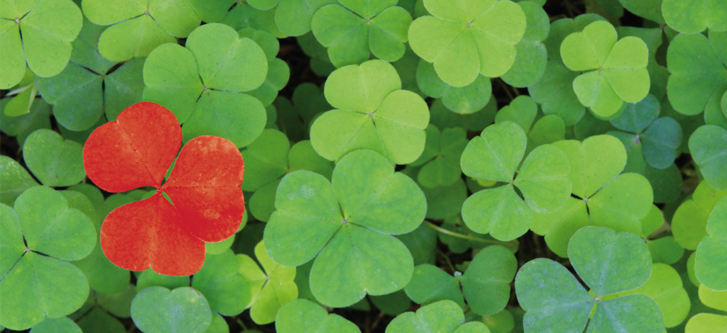 Ausgewählte Produkte