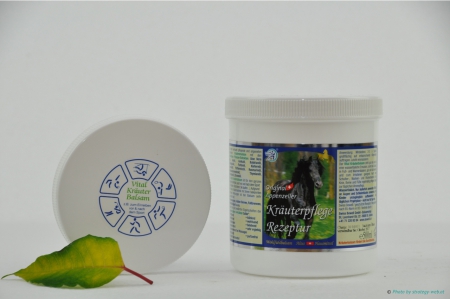 Pferdesalbe (grün) 500 ml Refill-Topf PB-RF 500