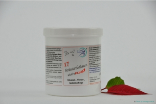 14+3 Kräuterbalsam Aktiv PLUS 500 ml Refill-Topf