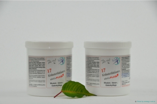 14+3 Kräuterbalsam Aktiv PLUS 2 x 500 ml Refill Pfünder-Set